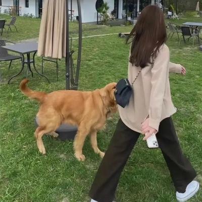 宝拉